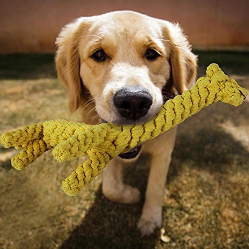 Pet AINIMO - Juguete para Perros Juguete de Cuerda para Cachorro Dientes de Limpieza de Juguete de Perro Masticar (Jirafa)