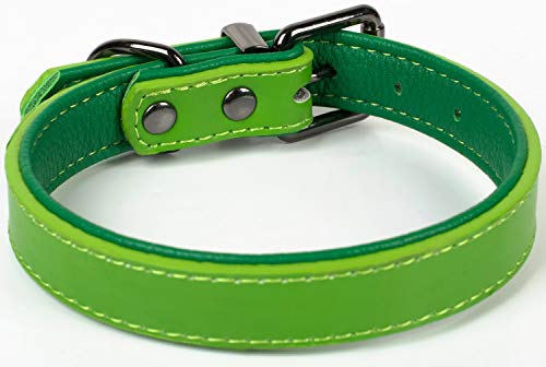 Puccybell Collar para Perros 2 Coloreado con Cuero, Collar clásico en Colores Contrastantes para Perros pequeños, medianos y Grandes HB004 (M, Verde)