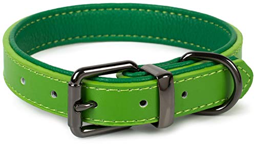 Puccybell Collar para Perros 2 Coloreado con Cuero, Collar clásico en Colores Contrastantes para Perros pequeños, medianos y Grandes HB004 (M, Verde)