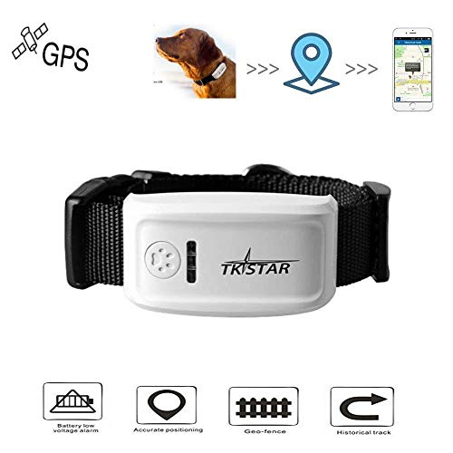 QinMM Collar GPS Perros Pet GPS Tracker con Collar, Mascota Anti Lost GPS Tracking Localizador de Localización GPS enTiempo Real, Collar para Perros Training GPS en Tiempo Real con App
