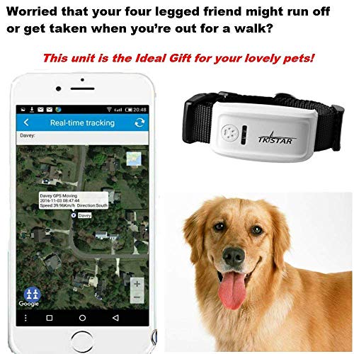 QinMM Collar GPS Perros Pet GPS Tracker con Collar, Mascota Anti Lost GPS Tracking Localizador de Localización GPS enTiempo Real, Collar para Perros Training GPS en Tiempo Real con App