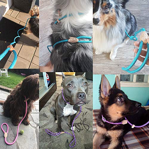 Reflective Dog Leash Training Pet Product Collars Harnesses Adjustable Dog Leash,Blue-Py0238,S Diameter 0.6cm