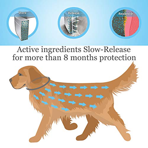 Rmolitty Collar Antiparasitario Perros, Impermeable Tratamiento Natural de pulgas para Grande Mediano Pequeño Perros, 8 Meses 57cm (57cm)