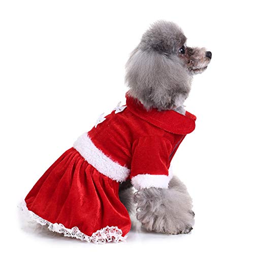 Ropa para Mascotas,Dragon868 Ropa para Perros pequeños Invierno cálido Cuello Redondo Arco-Nudo Sweashirts Vestido para Mascotas Perros, Ropa Perro Chihuahua, Jersey Perro Mediano
