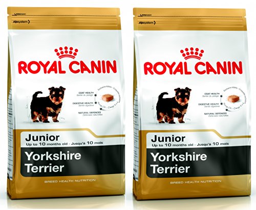 Royal CANIN Cachorro Forro para Yorkshire Terrier, 1,5 kg, 2 unidades)