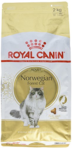Royal Canin Comida para gatos Bosque De Noruega 2 Kg