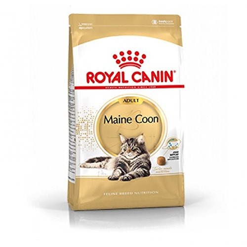 Royal Canin Feline Breed Nutrition Maine Coon 2 Kg