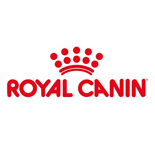 Royal Canin -felino Breed Nutrición Wet Maine Coon Adulto, 12x85g