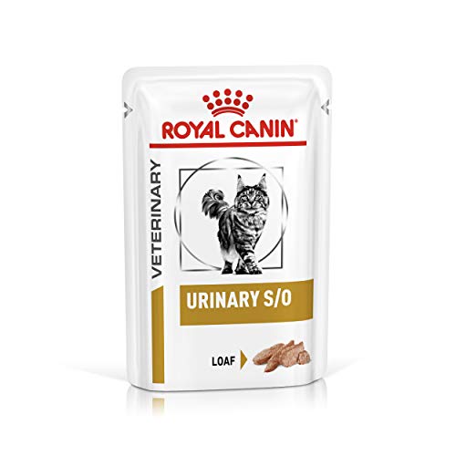 ROYAL CANIN Urinary S/O Chick Comida para Gatos - 4800 gr