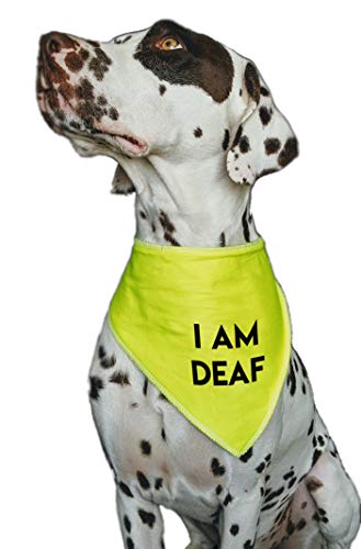 Spoilt Rotten Pets, S4 I Am Deaf – HI Viz – Bandana de Advertencia de Alerta para Perro, Apto para Perros Grandes, Husky, GSD, Newfies y Chow Chow, Multicolor