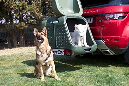 TowBox V2 Dog Verde - Portaperros para bola de remolque