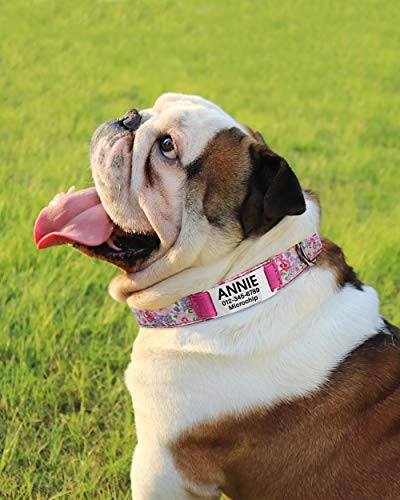 Vcalabashor Collar de Perro Personalizado, Placa de Acero Inoxidable grabada con Nombre y Número de Teléfono del Perro,Pink Pequeño