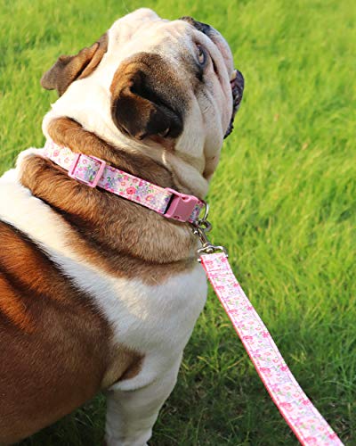 Vcalabashor Collar de Perro Personalizado, Placa de Acero Inoxidable grabada con Nombre y Número de Teléfono del Perro,Pink Pequeño