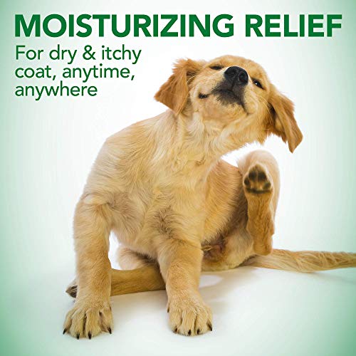 Vet's Best Moisture Mist Dog Dry Skin Conditioner y Detangler Spray, Alivia la Picazón de la Piel, Refresca y Calma, 470ml