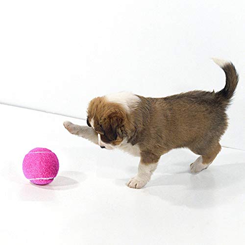 XYBB Juguetes para Perros Pelota De Tenis De Perro para 4.5cm Jumbo Ball Juguetes Perro Juguete Niños 6.5cm para El Entrenamiento De La Firma Masticar Gigante Mega Suministros Mascota S Rosa
