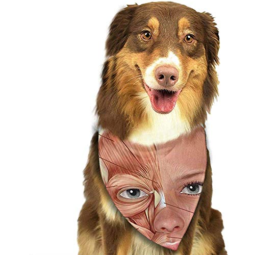 YAGEAD Pañuelo para Perros Cachorro y pañuelos para Mascotas, Mujer 3D Cara Femenina Músculos Anatomía Anatómica Anatómica Biología Bufanda para Mascotas