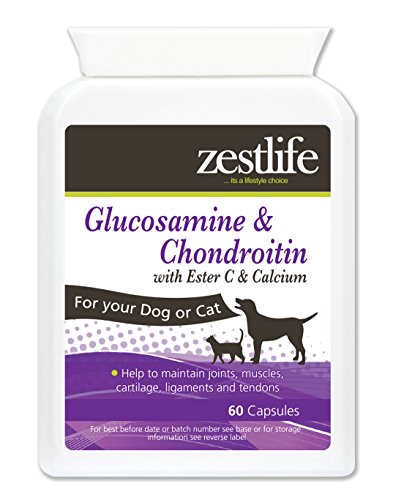 Zestlife Glucosamina para perros 60 cápsulas articulaciones y soporte muscular