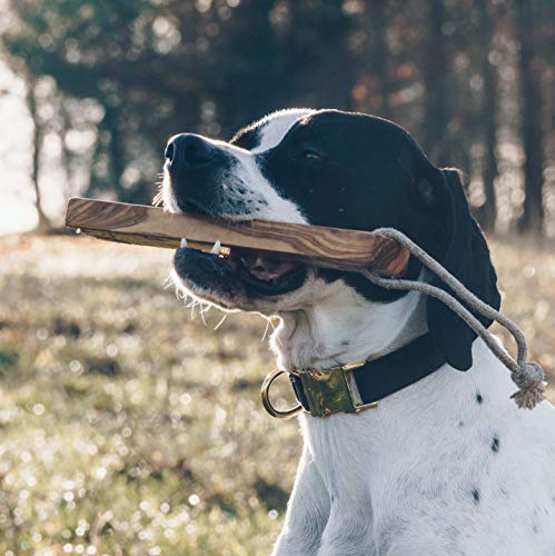 4 Nooks - Hueso para masticar para perros de madera de olivo como juguete o para el cuidado dental de perros pequeños y grandes, tamaño S/M/L