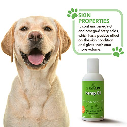Aceite de Cañamo para Perros & Gatos 250ml - 100% Natural Aceite de Cáñamo - Mejora el Sueño de las Mascotas - Suplemento Omega 3 6 9 - Aliviar la Ansiedad - Ayudar a la Salud