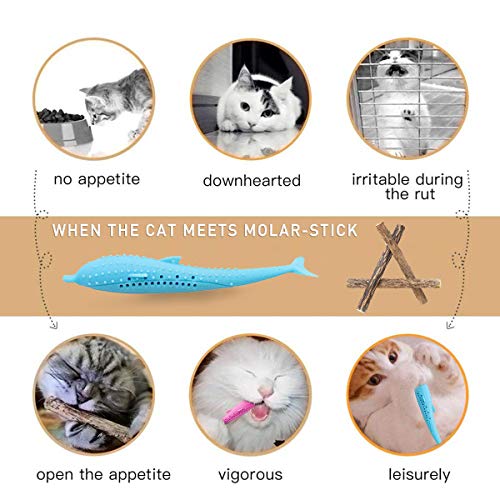 Aifeer Cepillo de Dientes Interactivo para Gatos, Juguetes interactivos para Gatos, Juguete Dental rellenable, Juguete de Limpieza de Dientes Molar de Silicona para Gatos o Gatos (Paquete de 6)