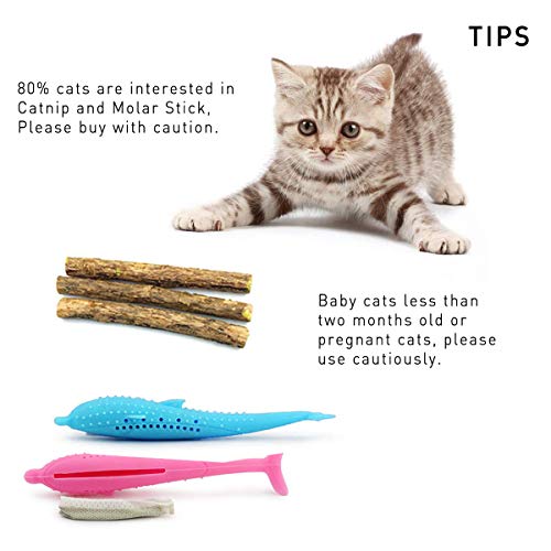 Aifeer Cepillo de Dientes Interactivo para Gatos, Juguetes interactivos para Gatos, Juguete Dental rellenable, Juguete de Limpieza de Dientes Molar de Silicona para Gatos o Gatos (Paquete de 6)