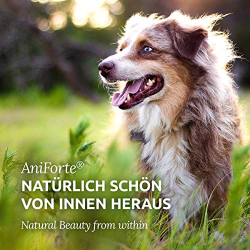 AniForte - Aceite para perros y gatos, 500 ml, cuidado natural del pelaje para un pelo brillante y sedoso, ropa vital, piel y vitalidad, rico en Omega 3 y Omega 6 ácidos grasos