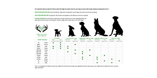 ARTISAN GIFT CO Mordedor Ecológico para Perros de Asta de Gamo de Caída Natural - Tamaño Grande (L) (2 Unidades)