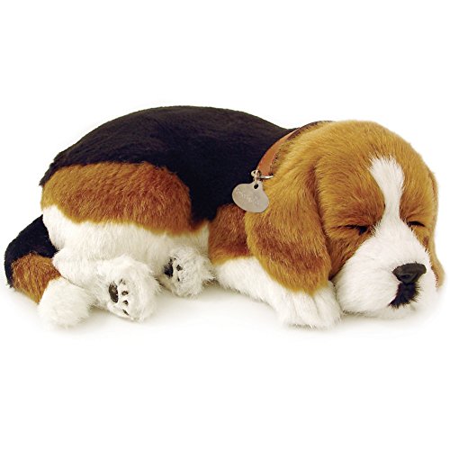Beagle Animated Pet by Perfect Petzzz