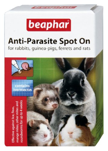 Beaphar - Pipetas Spot On antiparasitos para Conejos