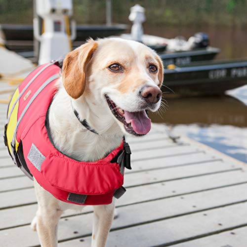 Bella & Balu Chaleco Salvavidas para Perros - Chaleco Reflectante para Perros para máxima Seguridad en y en el Agua al Nadar, navegar, Surf, Sup, excursiones en Barco, Kayak y Canoa