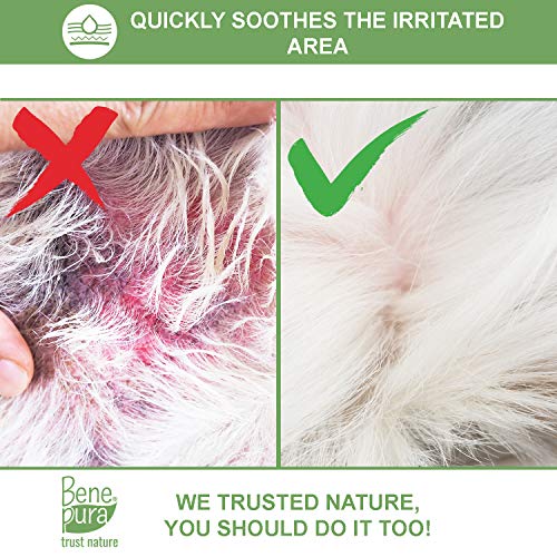 Bene Pura Trust Nature Bálsamo para Mascotas 100% Natural Anti-irritación - para Patas, Nariz y Piel - para Perros y Gatos