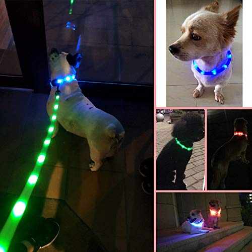 BPS Collar Luminoso Recargable USB para Mascotas Perros Gatos Impermeable Collar de Seguridad Luz Brillante 3 Colores 2 Tamaños para Elegir (1.6 x 40 cm, Verde) BPS-5556VE