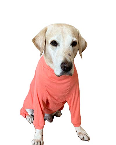 BT Bear - Pijama de Perro Grande, Protege Las articulaciones Anti-Pelo elástico de Cuatro Patas para Perro Dormir Pijama para Perros medianos y Grandes Perros Labrador Golden Retriever Samoyed