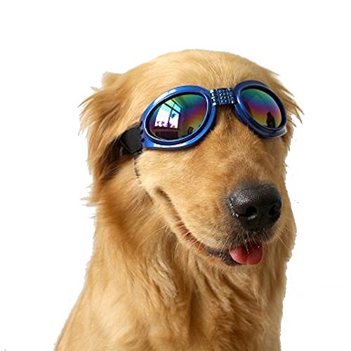 Cestlafit Gafas De Sol De Gafas De Gafas De Perro De Mascotas, Protección Contra El Viento Perrito Gafas De Sol Cachorros, Gafas De Perro Para Perro Grande, Zafiro