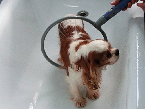Comfort Wash 360 - Dispositivo para lavado de perros en la bañera o el jardín, azul