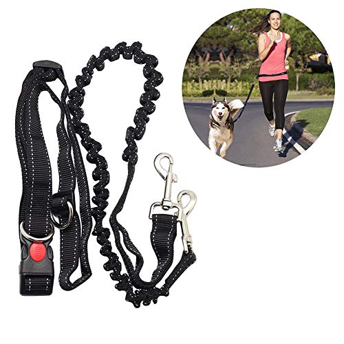 Correa manos libres para perros Adogo, cuerda extensible ajustable para la cintura que absorbe los golpes, para correr y caminar