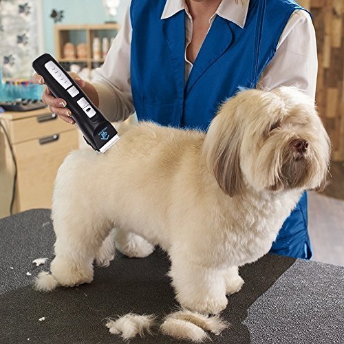 Cortapelo de Aseo para Perros - Kit de afeitadora para Mascotas, Perros y Gatos - Turbo inalámbrico Recargable - Bajo Nivel de Ruido y Vibración