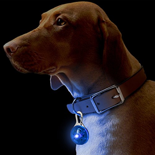 Da.Wa Perros Mascotas Luz LED Collar Colgante Hebilla Clip-on Protección para Perros