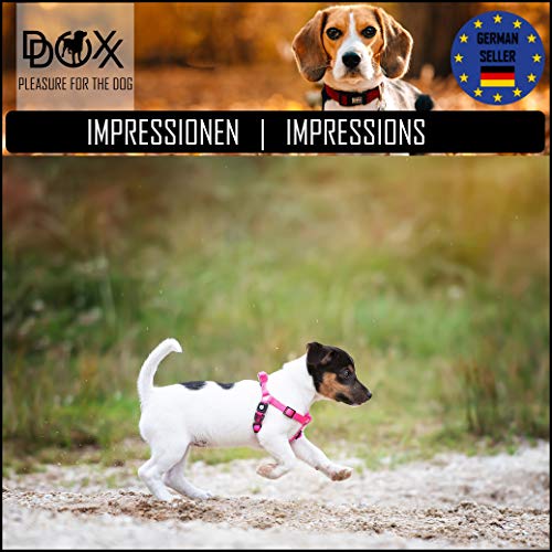 DDOXX Arnés Perro Step-In Nylon, Ajustable | Diferentes Colores & Tamaños | para Perros Pequeño, Mediano y Grande | Accesorios Gato Cachorro | Azul, S