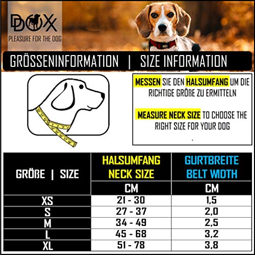 DDOXX Collar Perro Air Mesh, Ajustable, Acolchado | Diferentes Colores & Tamaños | para Perros Pequeño, Mediano y Grande | Collares Accesorios Gato Cachorro | Negro, XS