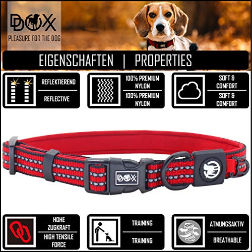 DDOXX Collar Perro Nylon, Ajustable, Reflectante, Acolchado Tamaños | para Perros Pequeño, Mediano y Grande | Collares Accesorios Gato Cachorro | Negro, S
