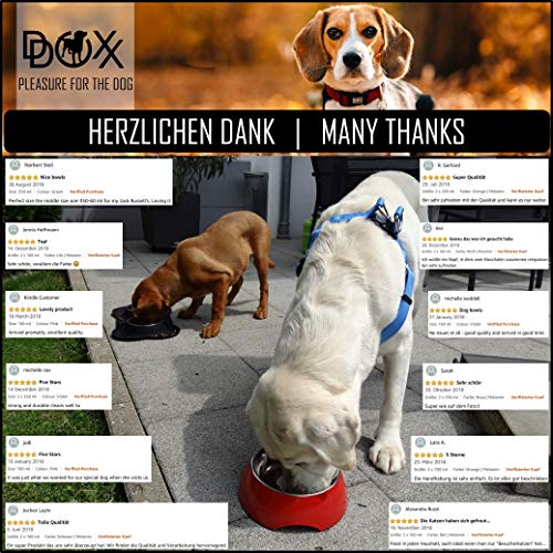 DDOXX Comedero Doble Perro, Antideslizante Tamaños | para Perros Pequeño, Mediano y Grande | Bol Accesorios Acero INOX-Idable Melamina Gato Cachorro | Violeta, 2 x 350 ml