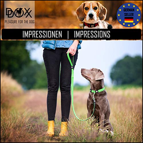 DDOXX Correa Perro Air Mesh, Acolchado, Lazo de Mano, 120 cm | Diferentes Colores & Tamaños | para Perros Pequeño, Mediano y Grande | Accesorios Gato Cachorro | Rojo, M