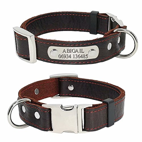 Didog - Collar para Perro de Piel auténtica Suave con Placa identificativa grabada, Collar de Piel Personalizado para Perros pequeños y medianos