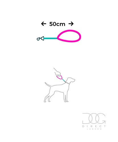 DogDirect London - Correa para Perro (Mango Corto, 50 cm, Neopreno, Hecha a Mano, para Perros medianos, Grandes y Gigantes), Color Azul y Rojo