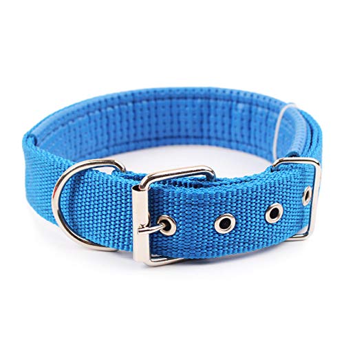 DOI Collares para Perros sólidos   Collar de Nylon para Perros pequeños, medianos y Grandes Perros de Peluche Keji Pitbull Bulldog Beagle S Azul