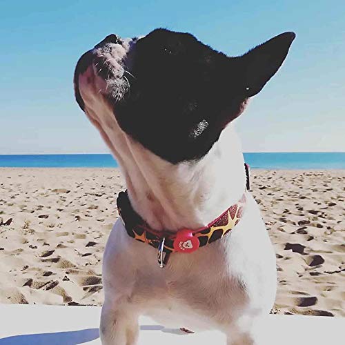 Dukier - Collar para Perro Ajustable y cómodo con Estampados Originales
