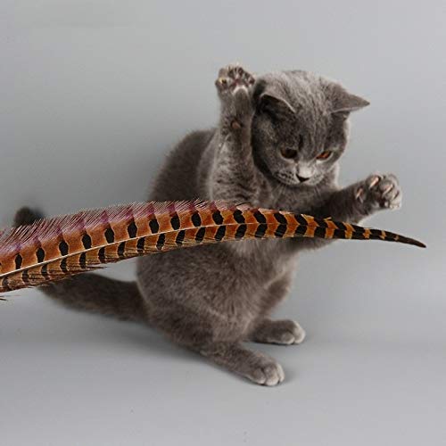 Edmend Interactiva Gato Juguete Divertido Gato del Animal doméstico Juego del Gatito Sticks Varita Classic Rod Ingenio con Bell Suministros Gato De Juguete para Mascotas (Color : White)