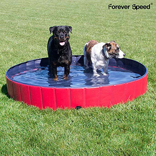 Forever Speed Piscina Perros,Gatos Bañera,Piscina Mascotas,Piscina para Niños Portátil Plegable Piscina de Baño Antideslizante,Resistente al Desgaste,PVC Doggy Pool (Rojo)