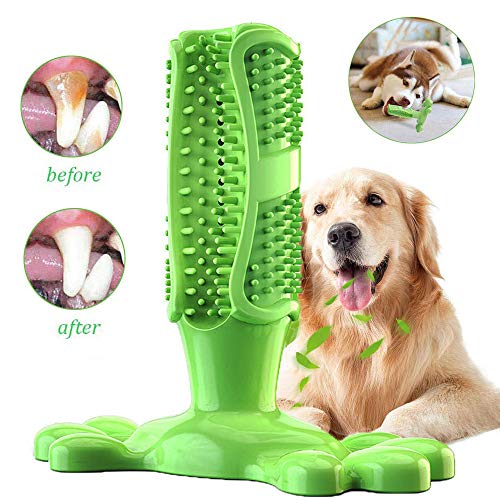 GingerUP Cepillo de Dientes en Perro Jugar - Dog Brushing Stick - Limpieza de higiene Dental - Juguete para Masticar S